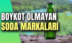Boykot Olmayan Soda Markaları! Türk Malı Maden Suyu Markaları Listesi