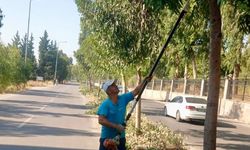 Hatay’ın Antakya Belediyesi’nden yeşil alanlara yatırım… 3 mahallede parklar güzelleştiriliyor