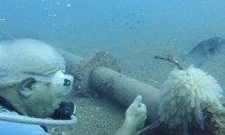 Antalya’da kalamar nüfusu azalıyor... Trol ağlar deniz canlılarını yok ediyor