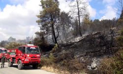 Antalya’da bir tarım arazisinde yangın çıktı