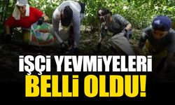 Antalya’da işçi yevmiyelerinin ücreti belli oldu… En düşük ücret 800 TL