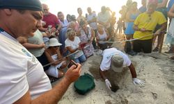 Türkiye’nin en güzel ilçesinde özgürlüğe kulaç atıldı