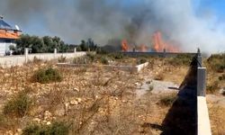 Antalya’da çıkan yangında kümes hayvanlarını kurtarmak için seferber oldular