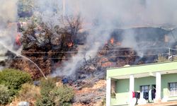 Antalya feci yangın, ağıldaki hayvanlar yangına kurban gitti