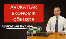 Avukatlar ekonomik çöküşte