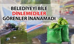 Muratpaşa’da asılan uyarı pankartları bile işe yaramadı… Manzara görenleri hayrete düşürdü