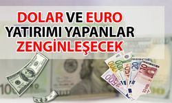 Dolar ve Euro yatırımı yapanlar zenginleşecek