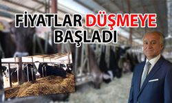 Antalya’da hayvancılık bitme noktasına geldi… Yem fiyatları uçtu!