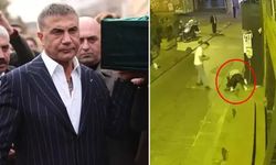 Sedat Peker İstanbul'da yaşanan taciz olayına neden tepki gösterdi? Tacizcilere ne dedi?