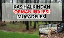 Antalya, Kaş halkından 'Orman İhalesi' mücadelesi… İhale, orman yangınlarına davetiye mi çıkarıyor?