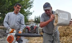 Yarbaş Çandır Yaylası’nda büyük şenlik