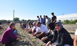 Sezonun ilk fideleri öğrencilerin ellerinden toprakla buluştu