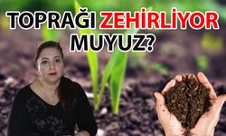 Fazla ilaç ve gübre toprağı zehirliyor