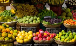 Antalya’da tropikal meyvecilik sektörü bitiyor mu? Tarım sektörünün çökmesine aylar kaldı…