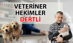 Antalya'daki veteriner hekimler, hayvanseverlerle karşı karşıya kalıyor