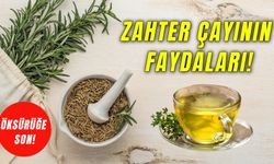 Öksürüğe Savaş Açıyor! Bir Bardağı Bile Boğaz Ağrısına Etkili… Zahter Çayının Faydaları Neler?