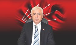 CHP Antalya İl Başkanı Nail Kamacı, devlet memuruna eleştiride bulundu.