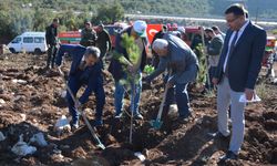 Korkuteli'de Milli Ağaçlandırma Günü dolayısıyla 500 fidan toprakla buluştu