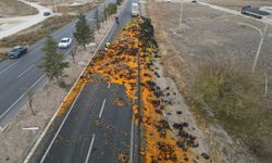 Afyonkarahisar’da 10 ton mandalina kara yoluna döküldü