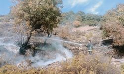 Alanya’da merada çıkan yangın büyümeden söndürüldü