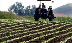 Tarımda kötü günler sona mı eriyor? Yükseliş dikkatleri üzerine çekti