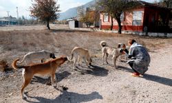 Antalya’da akıl almaz olay… Böylesi görülmedi