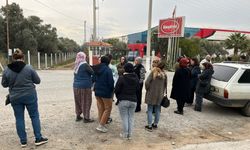 İşletme iflas etti alacaklılar kapıya dayandı