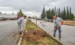 Kepez yeşillenirken tarihi mirasını da koruyor