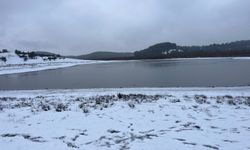 Kuraklıkla mücadele eden Buldan Yayla Gölü beyaza büründü