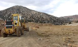 Antalya Büyükşehir Belediyesi yayla yollarına el attı