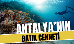 Antalya'nın sualtı cenneti… Batıklar hem turizmi hem biyolojik çeşitliliği zenginleştiriyor