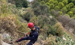 Büyükşehir Belediyesi İtfaiye ekiplerinden keçi kurtarma operasyonu