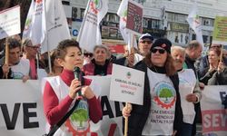 Antalya’da emekliler isyanda… "Ya insan gibi yaşayacağız ya meydanları ısıtacağız"