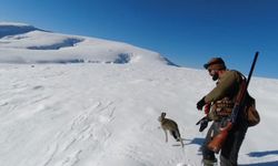 Yakaladığı tavşanı farkındalık için doğaya saldı