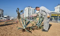 Hastane yolu kavşağına rengarenk ekolojik peyzaj