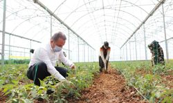 Antalya Büyükşehir Belediyesi’nin bu desteği Antalya’nın kaderini değiştirecek