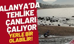 Alanya’da tehlike çanları çalıyor… Yerle bir olabilir! Deniz suyu 7-8 metre çekildi