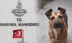 70 bin kişiden Anayasa Mahkemesi’ne çağrı: “AYM yasayı iptal et”