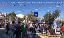 Muğla’da geleneksel Datça Badem Çiçeği Festivali kapılarını ziyaretçilere açtı