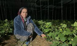 Kadın üreticilerin meşakkatli zirai don nöbeti