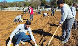 Antalya ekonomisine lavanta desteği