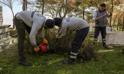 Efeler'de mezarlıklarda çalışmalar gerçekleştiriliyor