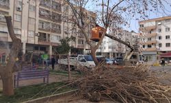 Muratpaşa Belediyesi’nden çevre temizliği