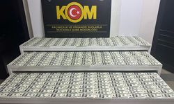 Matbaa kurup dolar basan şebeke çökertildi… 7 milyon 99 bin sahte dolar ele geçirildi