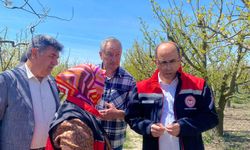 Durum içler acısı… Antalya’da zirai don hasar tespiti yapıldı