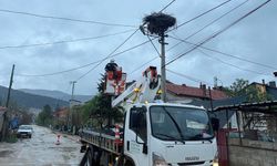 Bozulan leylek yuvası düzeltildi