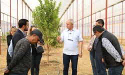 Başkan Özçelik, Hobi Bahçesi’ni inceledi