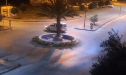 Antalya uykusuz kaldı! Mahalleliyi canından bezdirdi