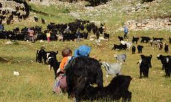 Antalya'da Yörüklerin yayla serüvenleri başladı