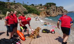 Türkiye’nin ilk köpeği! Antalya’nın Zeyna’sı gün sayıyor